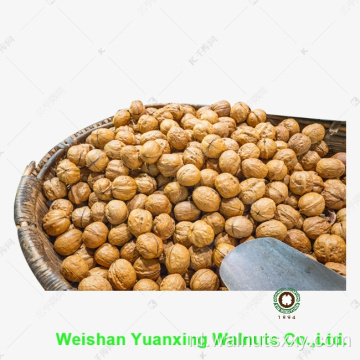 nieuwe gewas walnoten kernels lichte stukken te koop